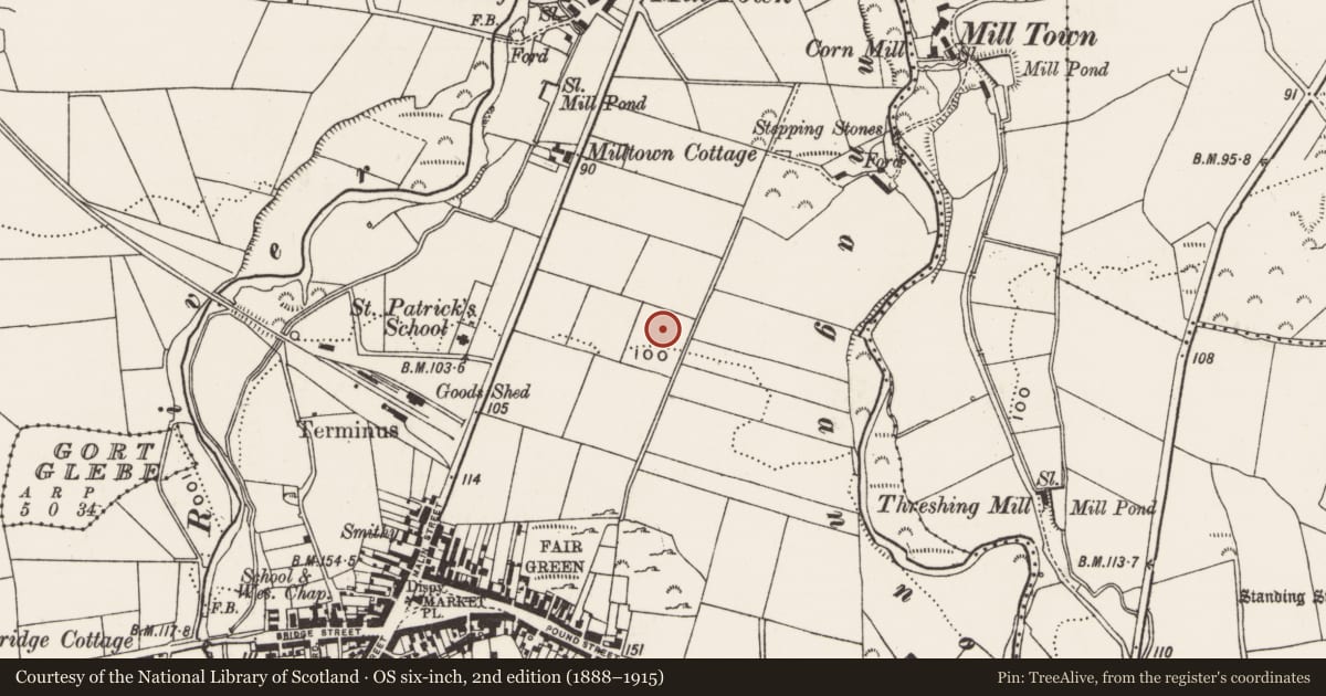 Ordnance Survey six-inch map, 2nd edition (1888–1915) covering the location of Souterrain, Churchland Quarters, County Donegal, with a pin at the register's coordinates
