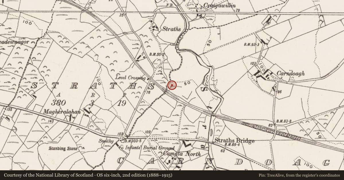 Ordnance Survey six-inch map, 2nd edition (1888–1915) covering the location of Rock art, Carndonagh, County Donegal, with a pin at the register's coordinates
