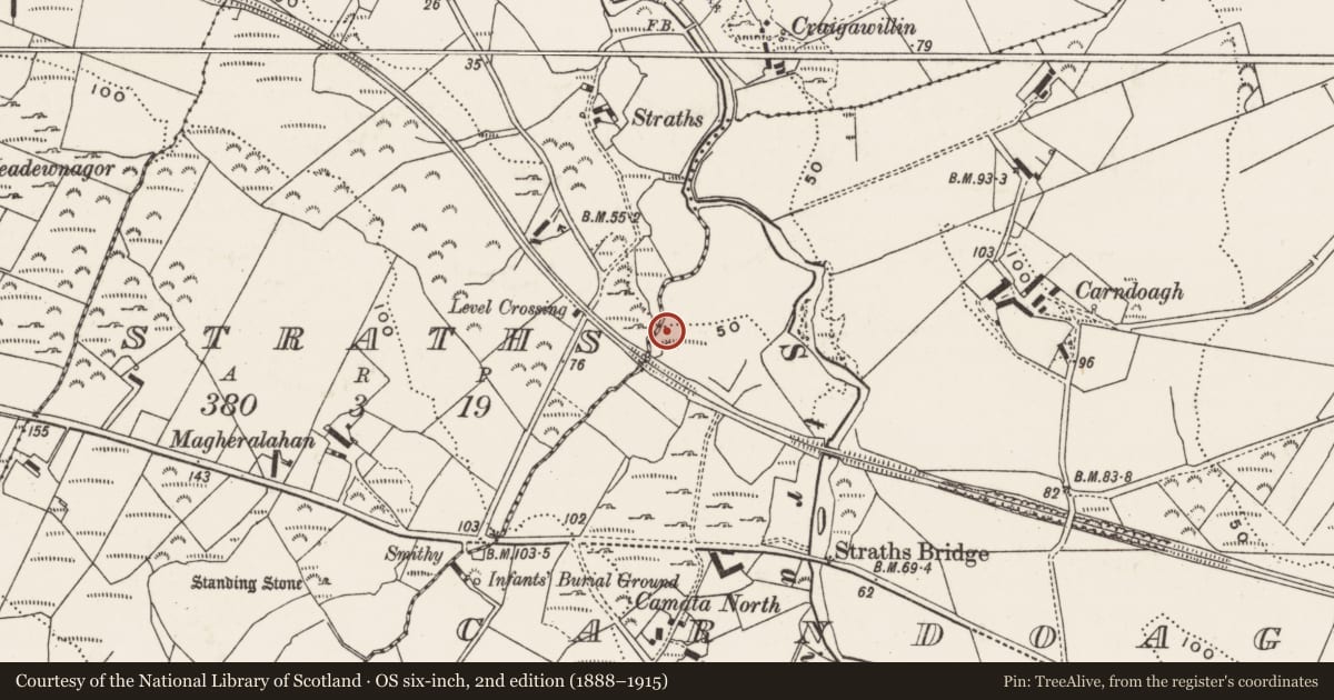 Ordnance Survey six-inch map, 2nd edition (1888–1915) covering the location of Rock scribing, Carndoagh, County Donegal, with a pin at the register's coordinates