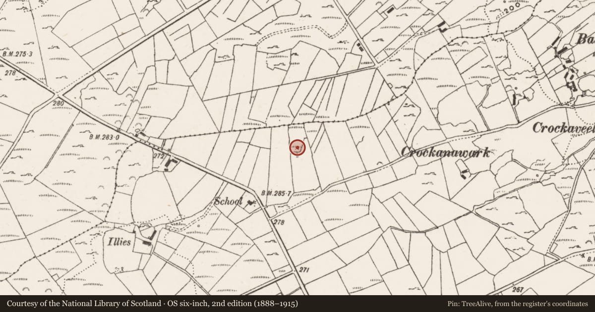 Ordnance Survey six-inch map, 2nd edition (1888–1915) covering the location of Standing stone, Ballycharry, County Donegal, with a pin at the register's coordinates