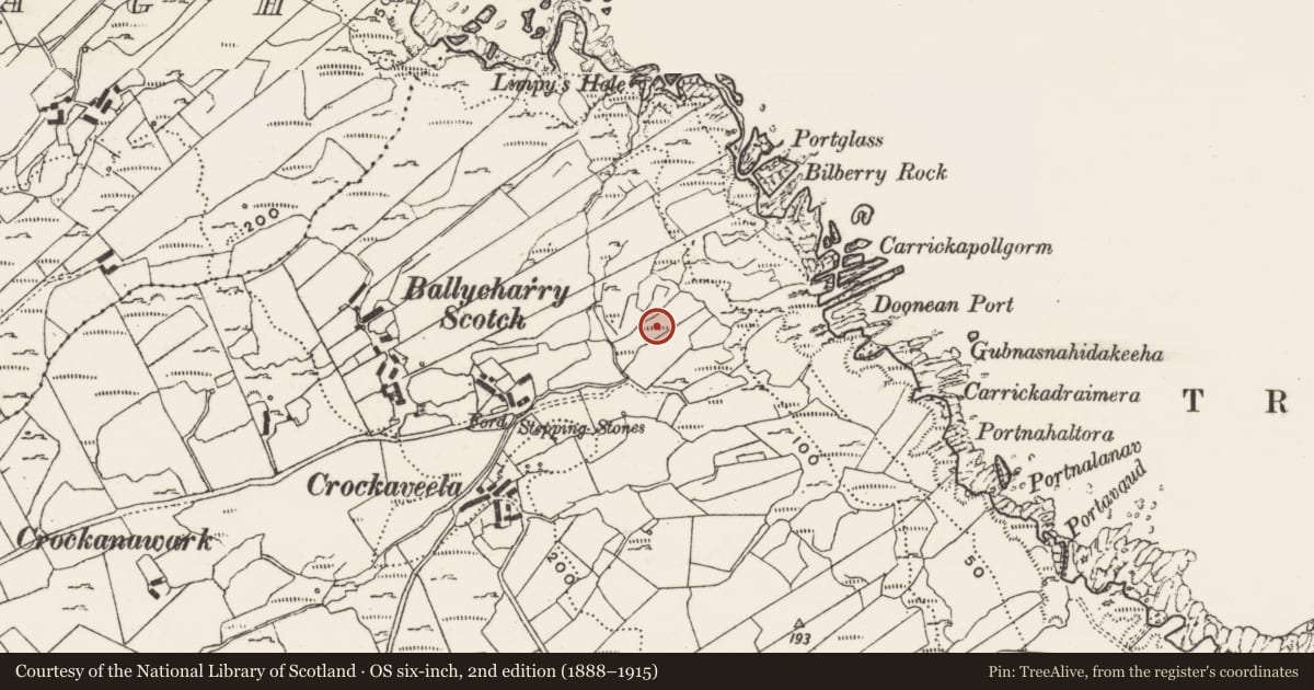 Ordnance Survey six-inch map, 2nd edition (1888–1915) covering the location of Church, Ballycharry, County Donegal, with a pin at the register's coordinates