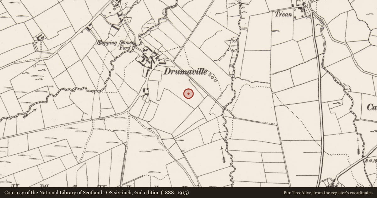 Ordnance Survey six-inch map, 2nd edition (1888–1915) covering the location of Cross-inscribed pillar, Drumaville, County Donegal, with a pin at the register's coordinates