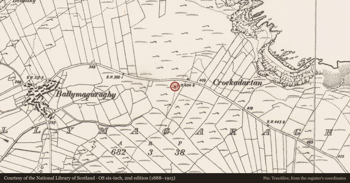 Ordnance Survey six-inch map, 2nd edition (1888–1915) covering the location of Cairn - unclassified, Ballymagaraghy, County Donegal, with a pin at the register's coordinates