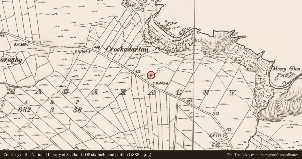 Ordnance Survey six-inch map, 2nd edition (1888–1915) covering the location of Standing stone, Ballymagaraghy, County Donegal, with a pin at the register's coordinates