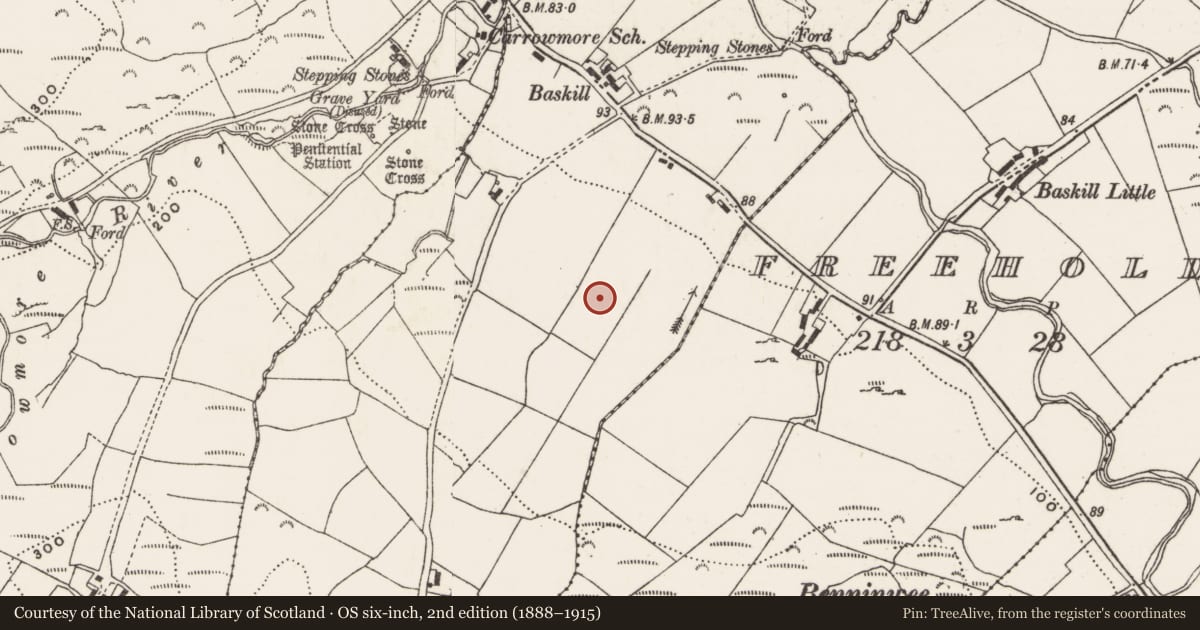 Ordnance Survey six-inch map, 2nd edition (1888–1915) covering the location of Megalithic tomb - unclassified, Baskill, County Donegal, with a pin at the register's coordinates