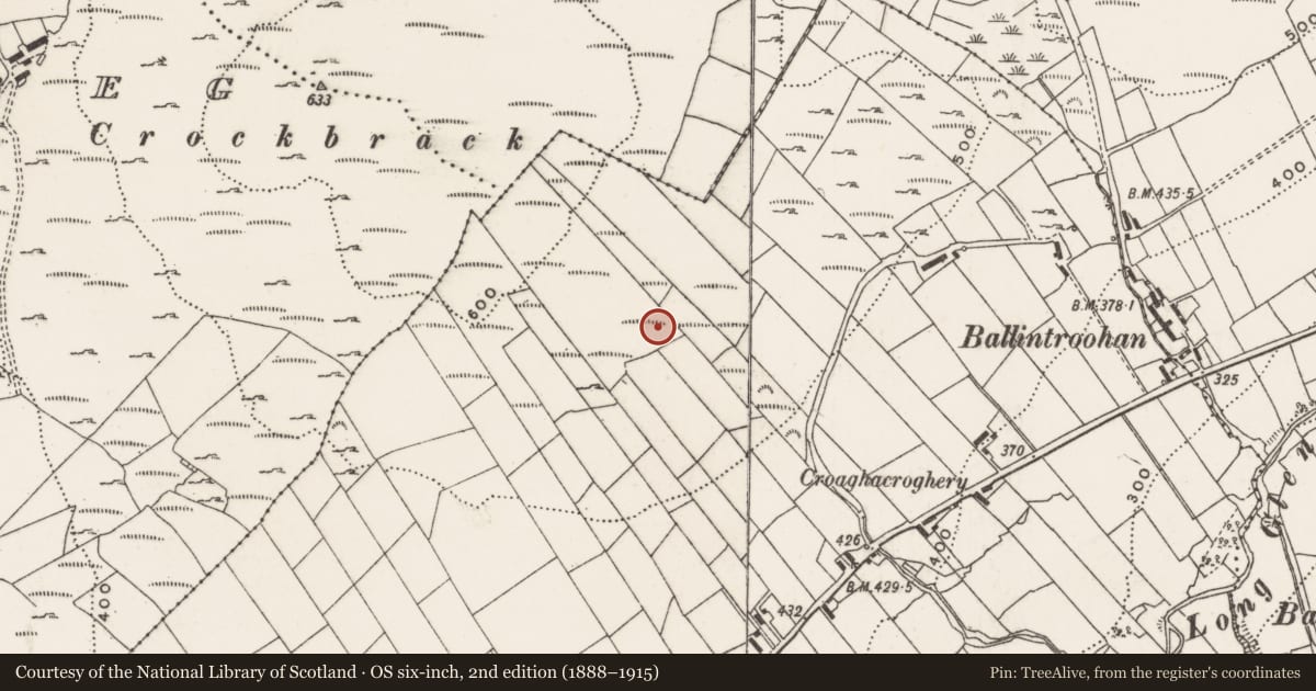 Ordnance Survey six-inch map, 2nd edition (1888–1915) covering the location of Megalithic tomb - court tomb, Meenletterbale, County Donegal, with a pin at the register's coordinates