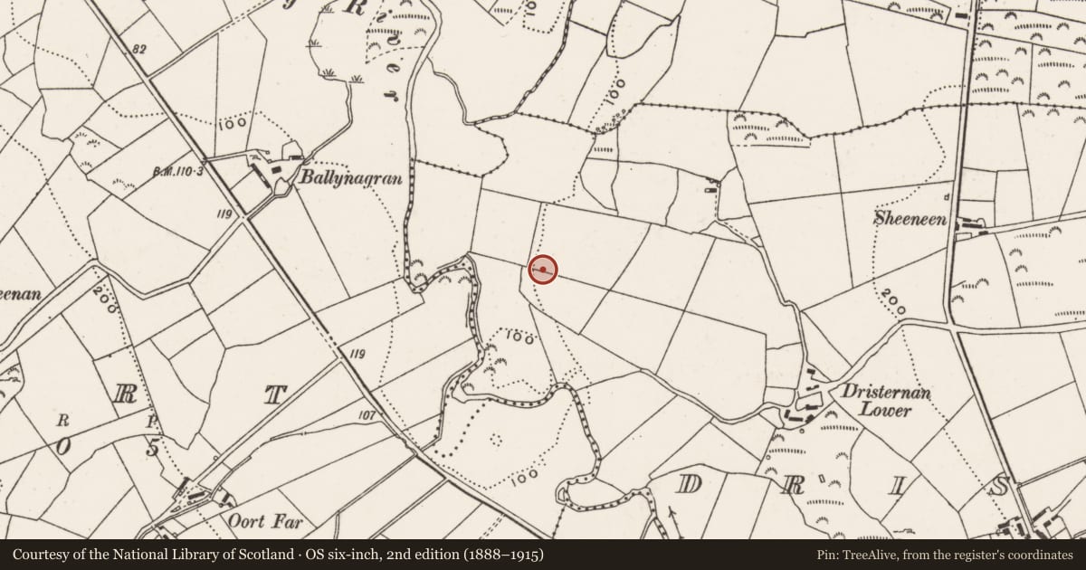 Ordnance Survey six-inch map, 2nd edition (1888–1915) covering the location of Ringfort - unclassified, Dristernan, County Donegal, with a pin at the register's coordinates