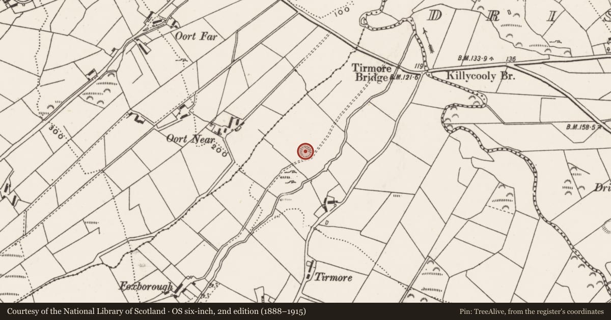 Ordnance Survey six-inch map, 2nd edition (1888–1915) covering the location of Ringfort - cashel, Aghaglassan, County Donegal, with a pin at the register's coordinates