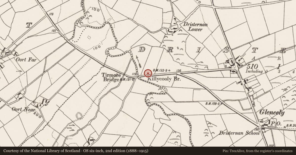 Ordnance Survey six-inch map, 2nd edition (1888–1915) covering the location of Burial ground, Dristernan, County Donegal, with a pin at the register's coordinates