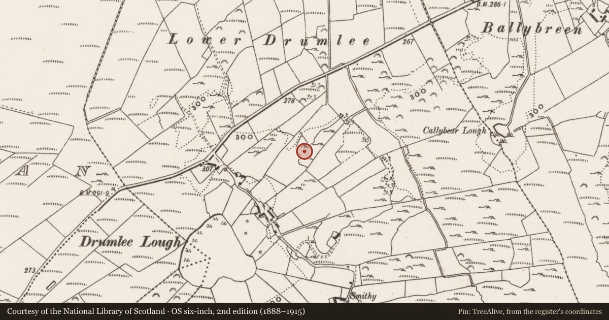 Ordnance Survey six-inch map, 2nd edition (1888–1915) covering the location of Structure, Drumlee, County Donegal, with a pin at the register's coordinates