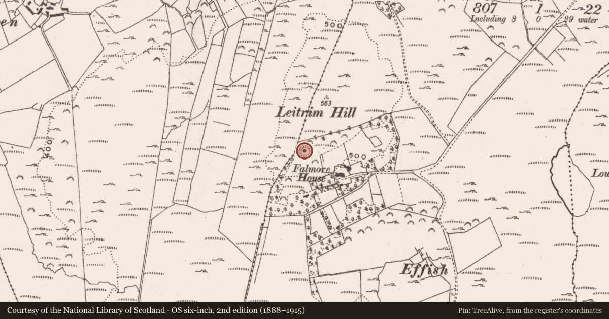 Ordnance Survey six-inch map, 2nd edition (1888–1915) covering the location of Ringfort - cashel, Leitrim, County Donegal, with a pin at the register's coordinates