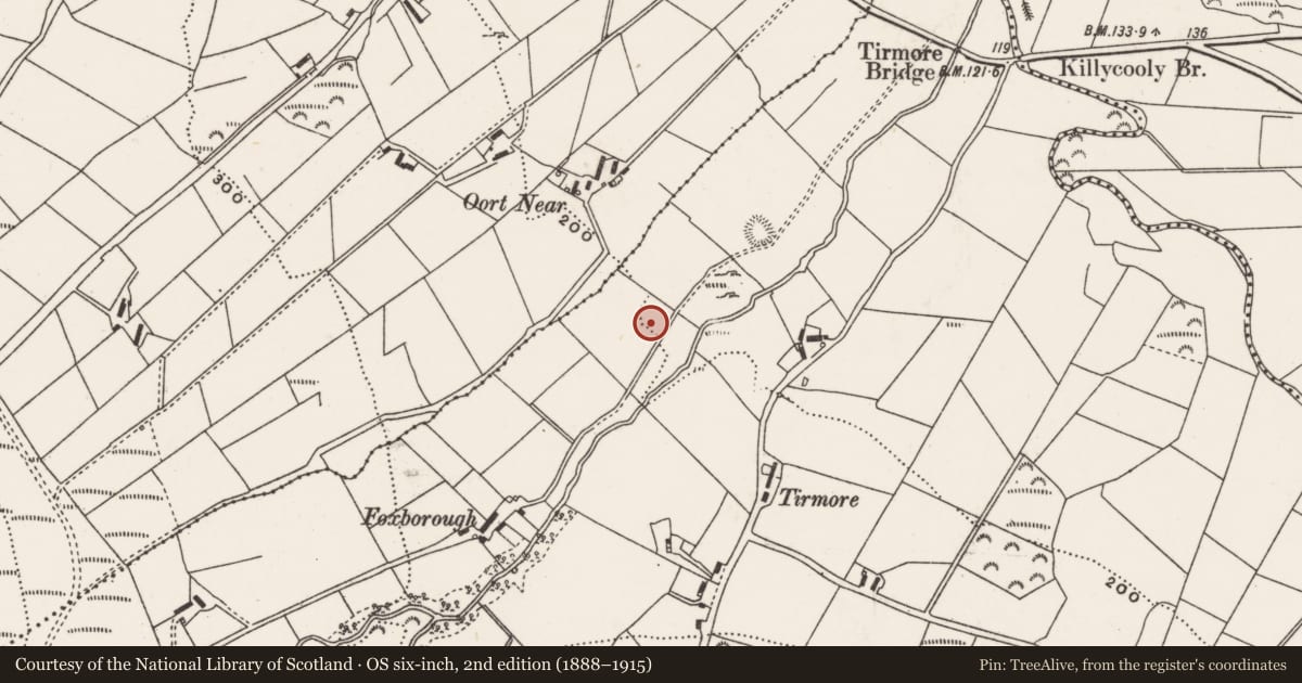 Ordnance Survey six-inch map, 2nd edition (1888–1915) covering the location of Burial ground, Aghaglassan, County Donegal, with a pin at the register's coordinates