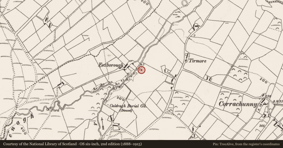 Ordnance Survey six-inch map, 2nd edition (1888–1915) covering the location of Ringfort - cashel, Aghaglassan, County Donegal, with a pin at the register's coordinates