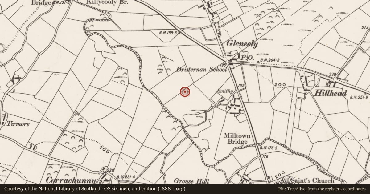 Ordnance Survey six-inch map, 2nd edition (1888–1915) covering the location of Ringfort - cashel, Dristernan, County Donegal, with a pin at the register's coordinates
