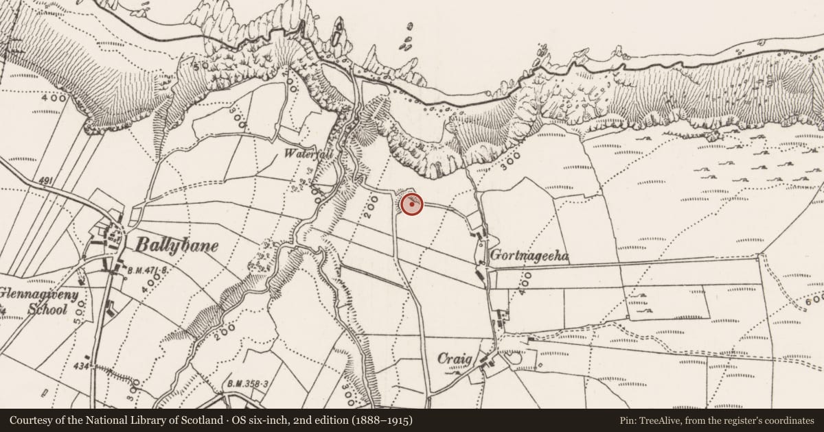 Ordnance Survey six-inch map, 2nd edition (1888–1915) covering the location of Ringfort - rath, Glennagiveny, County Donegal, with a pin at the register's coordinates