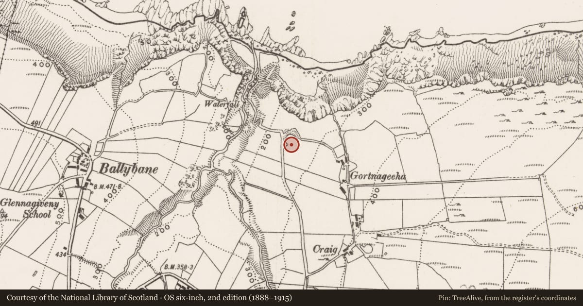 Ordnance Survey six-inch map, 2nd edition (1888–1915) covering the location of Cross-slab, Glennagiveny, County Donegal, with a pin at the register's coordinates