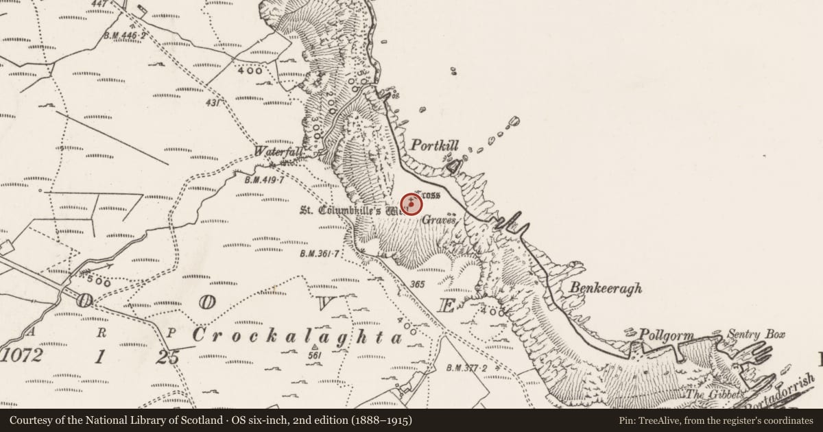 Ordnance Survey six-inch map, 2nd edition (1888–1915) covering the location of Cross-inscribed stone, Stroove, County Donegal, with a pin at the register's coordinates
