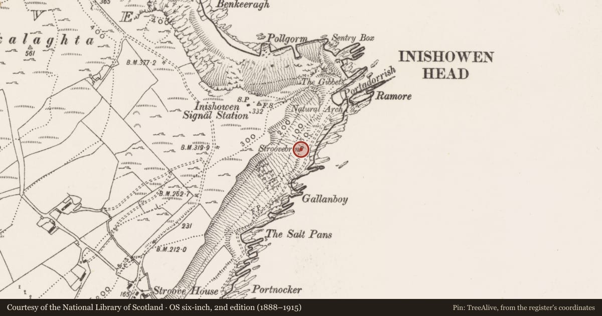 Ordnance Survey six-inch map, 2nd edition (1888–1915) covering the location of Ritual site - holy well, Stroove, County Donegal, with a pin at the register's coordinates