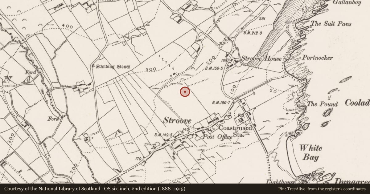 Ordnance Survey six-inch map, 2nd edition (1888–1915) covering the location of Cross, Stroove, County Donegal, with a pin at the register's coordinates