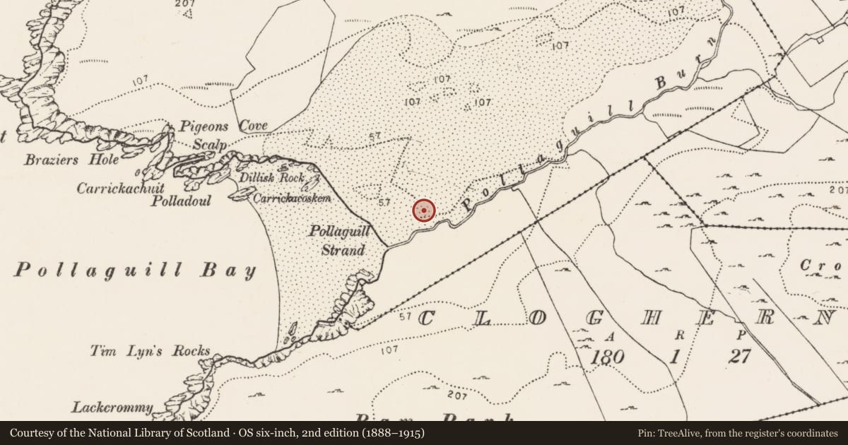 Ordnance Survey six-inch map, 2nd edition (1888–1915) covering the location of Hut site, Pollaguill, County Donegal, with a pin at the register's coordinates