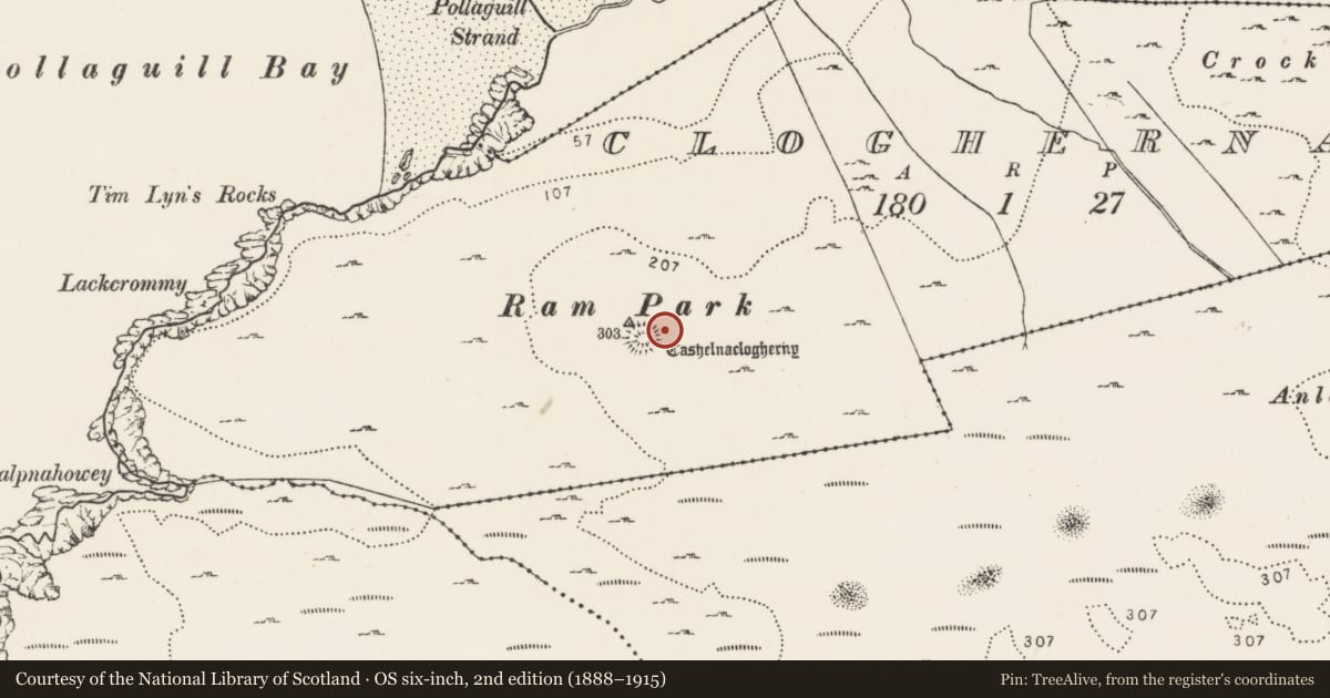 Ordnance Survey six-inch map, 2nd edition (1888–1915) covering the location of Souterrain, Cloghernagh, County Donegal, with a pin at the register's coordinates