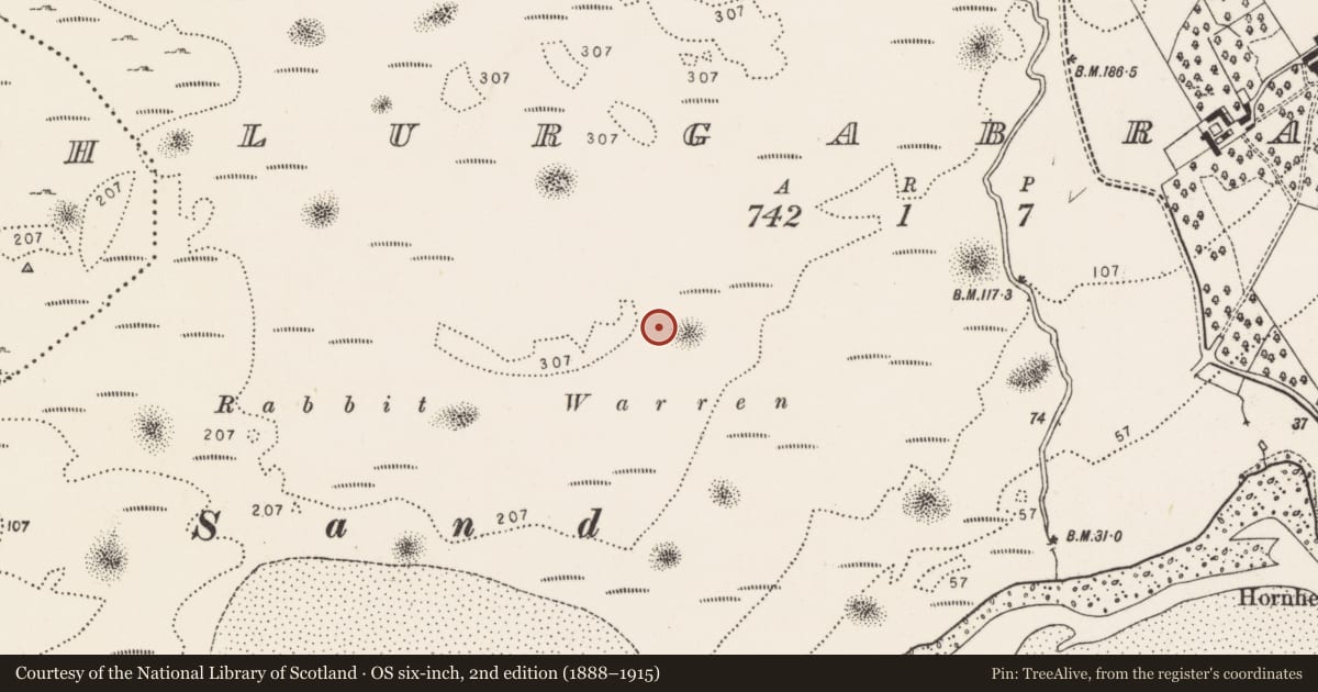 Ordnance Survey six-inch map, 2nd edition (1888–1915) covering the location of Souterrain, Lurgabrack, County Donegal, with a pin at the register's coordinates