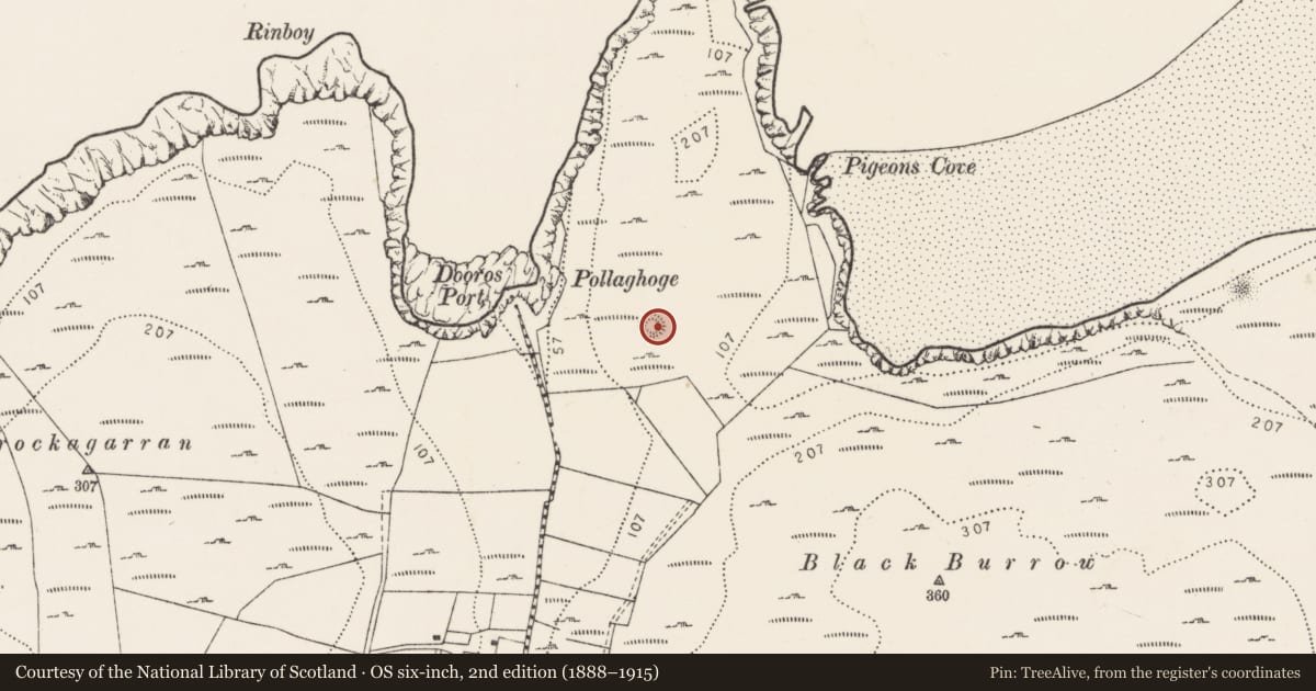 Ordnance Survey six-inch map, 2nd edition (1888–1915) covering the location of Ringfort - cashel, Murroe, County Donegal, with a pin at the register's coordinates