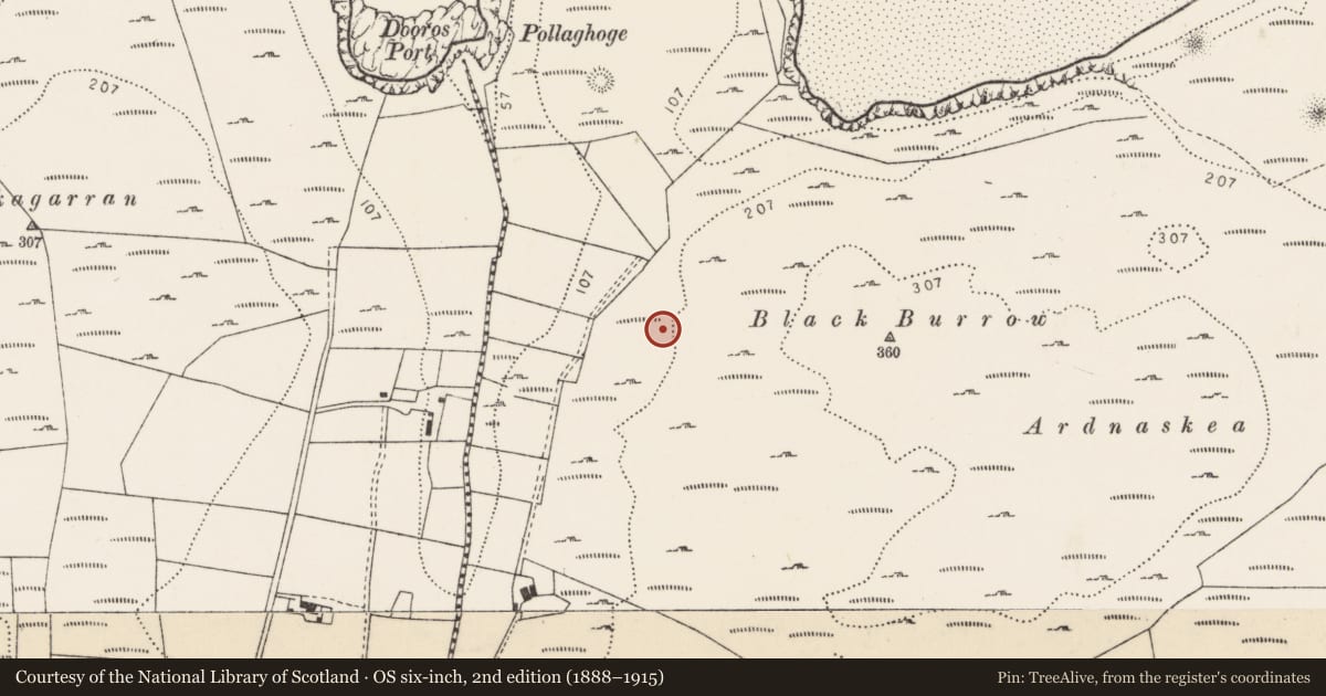 Ordnance Survey six-inch map, 2nd edition (1888–1915) covering the location of Ringfort - cashel, Murroe, County Donegal, with a pin at the register's coordinates