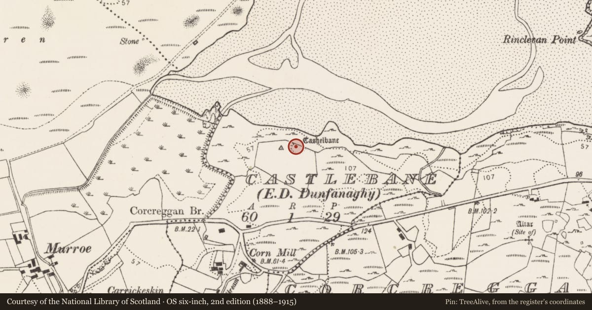 Ordnance Survey six-inch map, 2nd edition (1888–1915) covering the location of Ringfort - cashel, Castlebane, County Donegal, with a pin at the register's coordinates