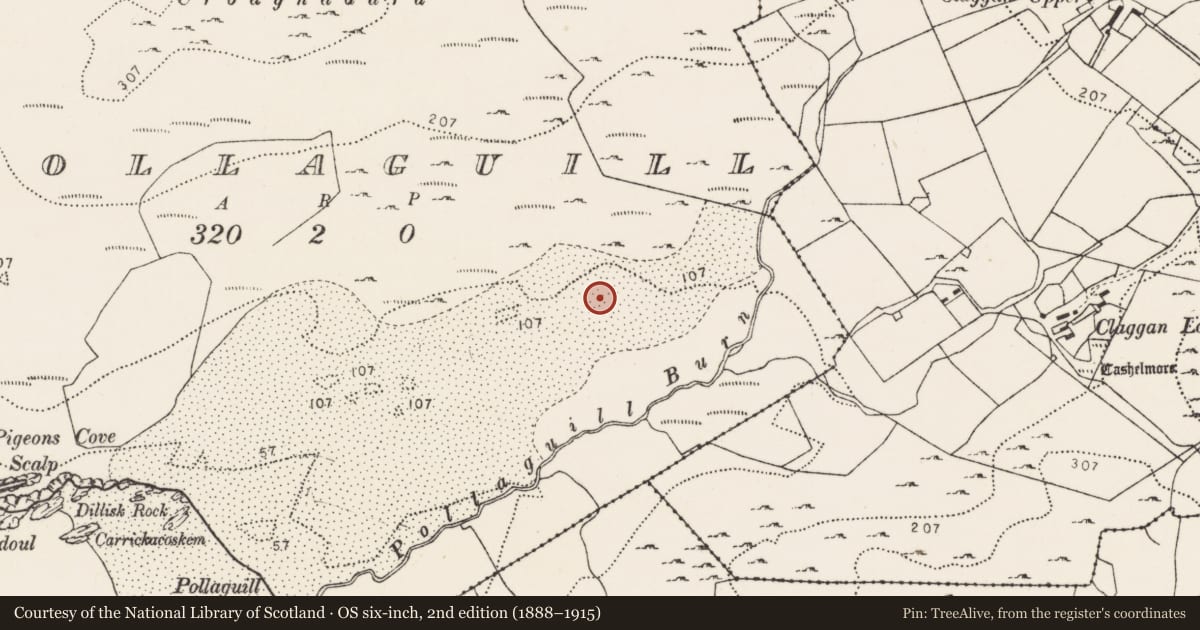 Ordnance Survey six-inch map, 2nd edition (1888–1915) covering the location of Field boundary, Pollaguill, County Donegal, with a pin at the register's coordinates