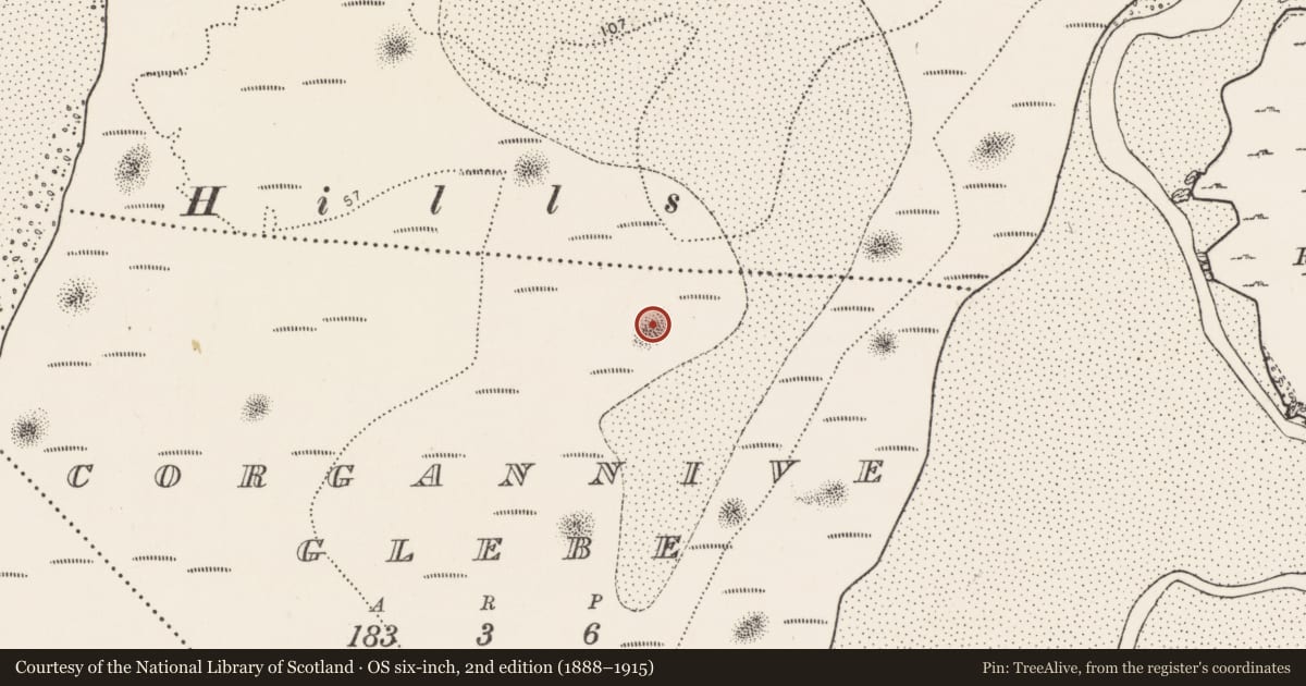 Ordnance Survey six-inch map, 2nd edition (1888–1915) covering the location of Midden, Corgannive Glebe, County Donegal, with a pin at the register's coordinates