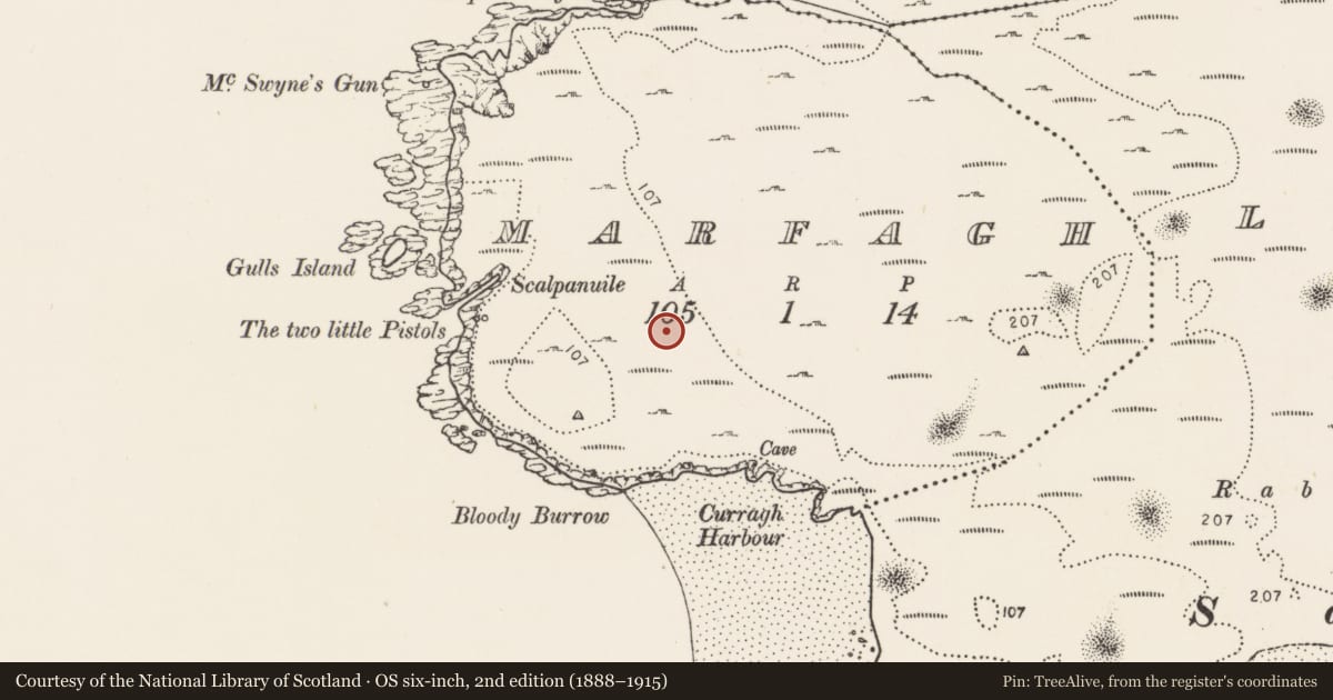 Ordnance Survey six-inch map, 2nd edition (1888–1915) covering the location of Cairn - clearance cairn, Marfagh, County Donegal, with a pin at the register's coordinates