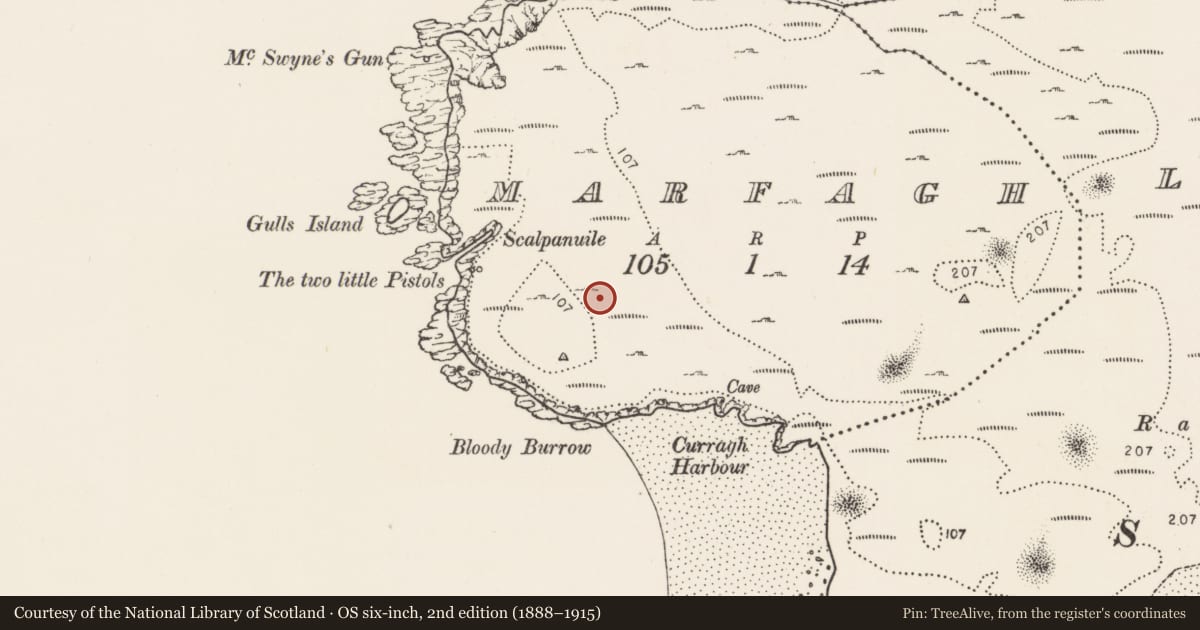 Ordnance Survey six-inch map, 2nd edition (1888–1915) covering the location of Field system, Marfagh, County Donegal, with a pin at the register's coordinates