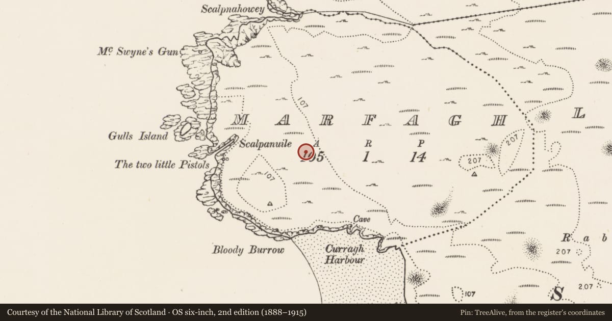 Ordnance Survey six-inch map, 2nd edition (1888–1915) covering the location of Cairn - clearance cairn, Marfagh, County Donegal, with a pin at the register's coordinates