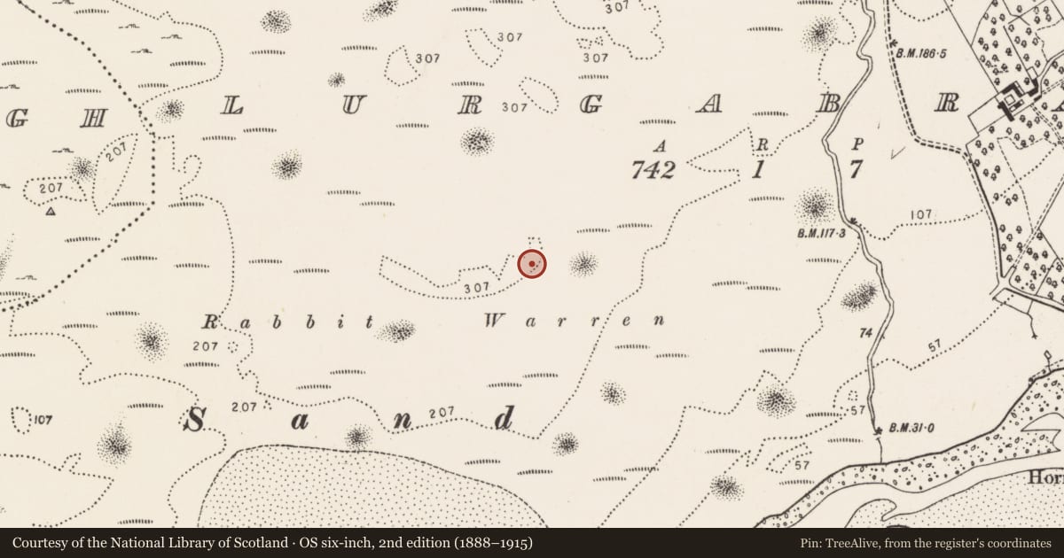 Ordnance Survey six-inch map, 2nd edition (1888–1915) covering the location of Hut site, Lurgabrack, County Donegal, with a pin at the register's coordinates