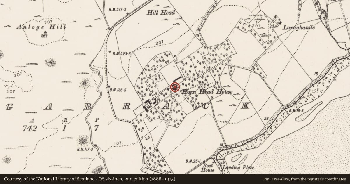 Ordnance Survey six-inch map, 2nd edition (1888–1915) covering the location of House - 18th/19th century, Lurgabrack, County Donegal, with a pin at the register's coordinates