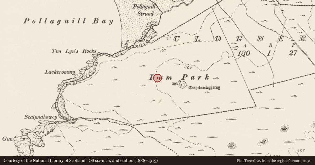 Ordnance Survey six-inch map, 2nd edition (1888–1915) covering the location of Enclosure, Cloghernagh, County Donegal, with a pin at the register's coordinates