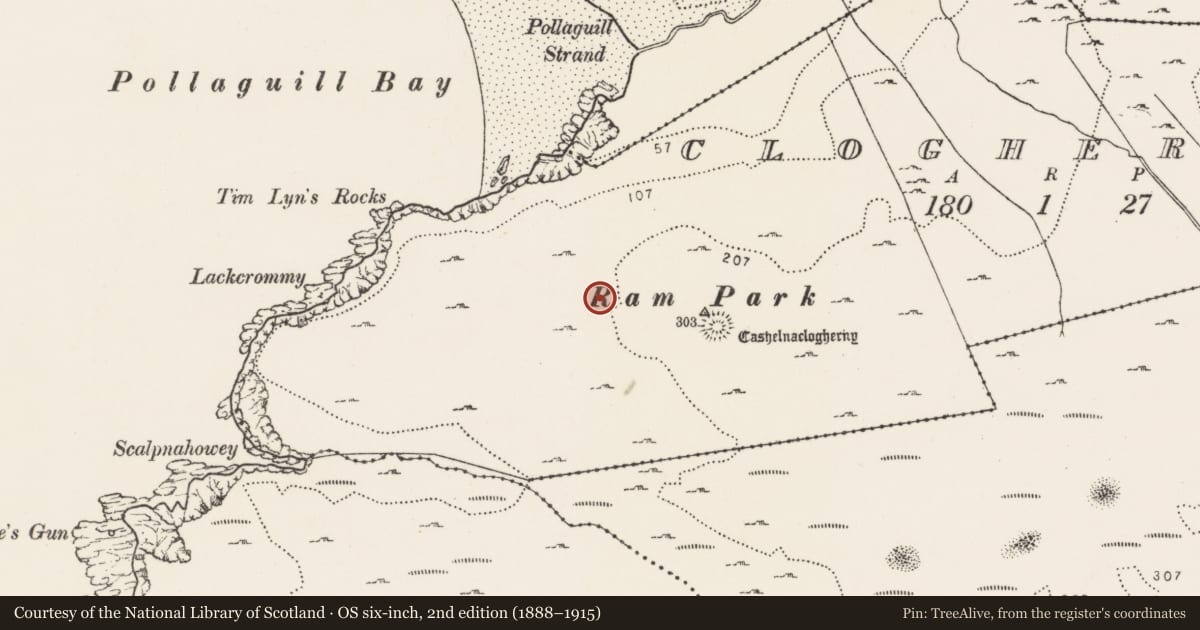 Ordnance Survey six-inch map, 2nd edition (1888–1915) covering the location of Field system, Cloghernagh, County Donegal, with a pin at the register's coordinates