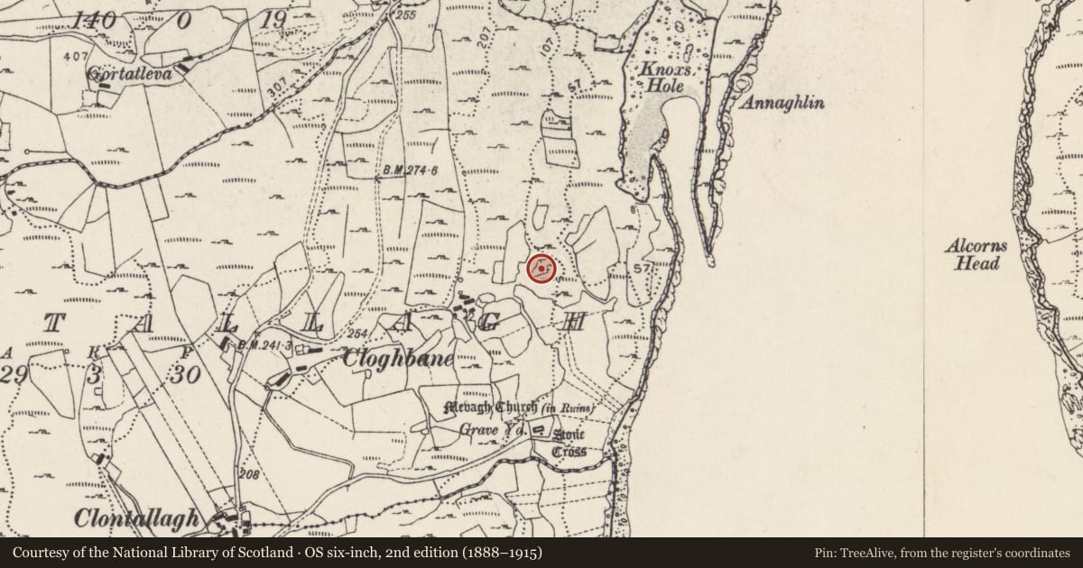 Ordnance Survey six-inch map, 2nd edition (1888–1915) covering the location of Ringfort - cashel, Cluain Tsalach, County Donegal, with a pin at the register's coordinates