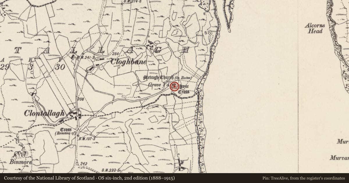 Ordnance Survey six-inch map, 2nd edition (1888–1915) covering the location of Cross - High cross, Cluain Tsalach, County Donegal, with a pin at the register's coordinates