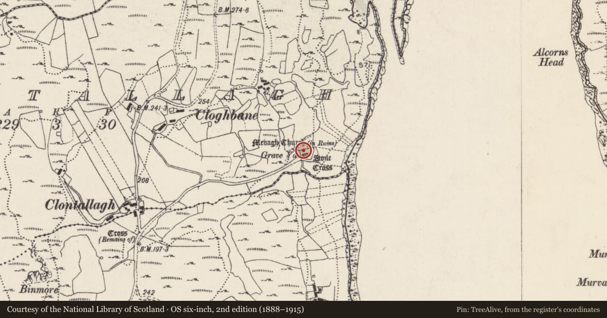 Ordnance Survey six-inch map, 2nd edition (1888–1915) covering the location of Ritual site - holy/saint's stone, Cluain Tsalach, County Donegal, with a pin at the register's coordinates
