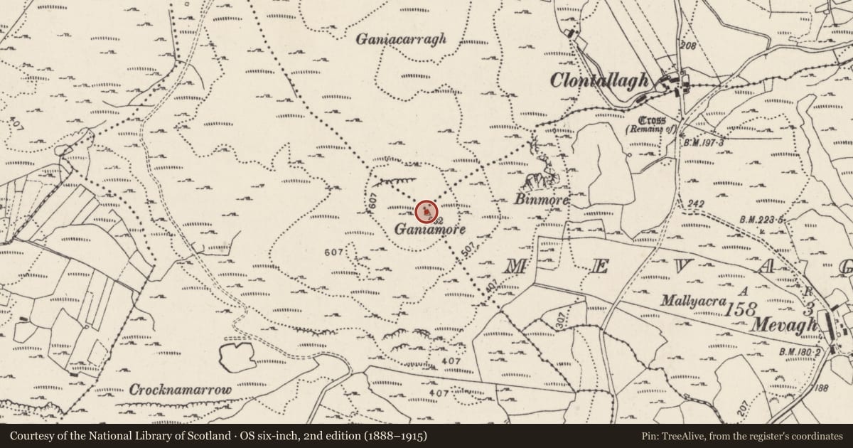 Ordnance Survey six-inch map, 2nd edition (1888–1915) covering the location of Cairn - unclassified, County Donegal, with a pin at the register's coordinates