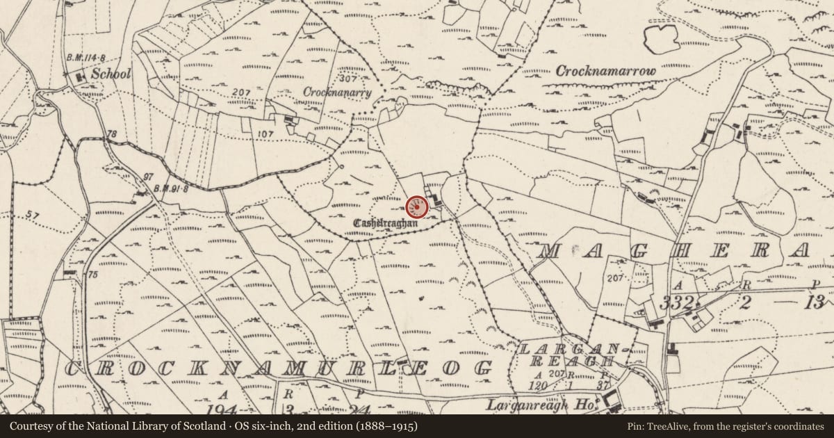 Ordnance Survey six-inch map, 2nd edition (1888–1915) covering the location of Ringfort - cashel, Leargain Riach, County Donegal, with a pin at the register's coordinates