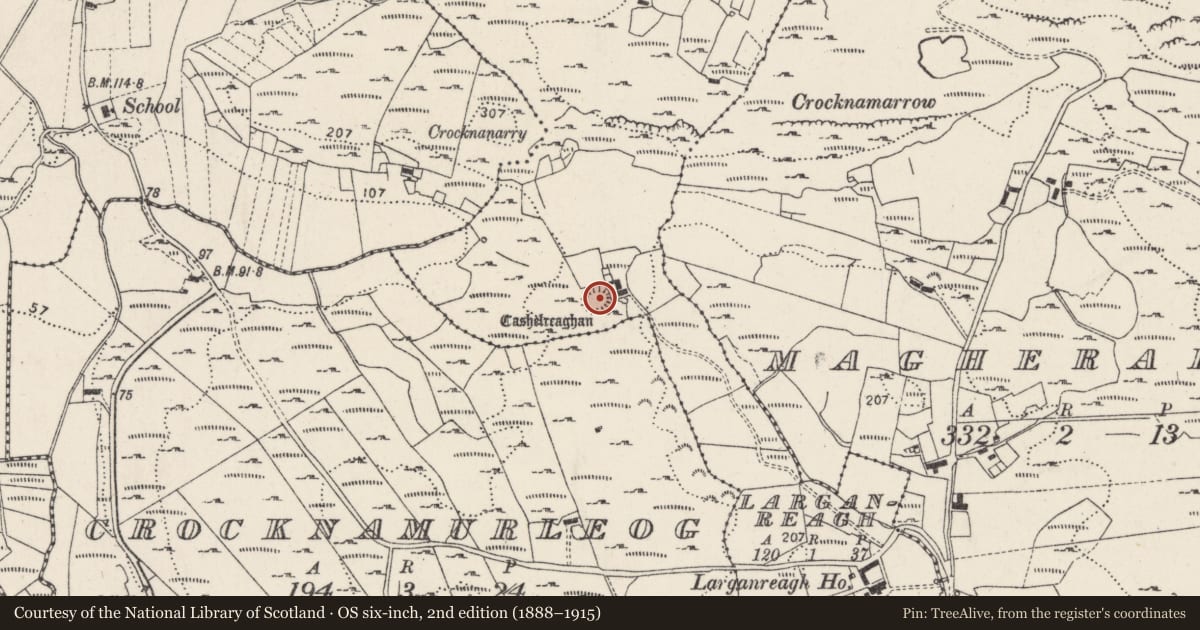 Ordnance Survey six-inch map, 2nd edition (1888–1915) covering the location of Hut site, Leargain Riach, County Donegal, with a pin at the register's coordinates