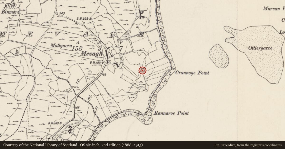 Ordnance Survey six-inch map, 2nd edition (1888–1915) covering the location of Rock art, Míobhaigh, County Donegal, with a pin at the register's coordinates