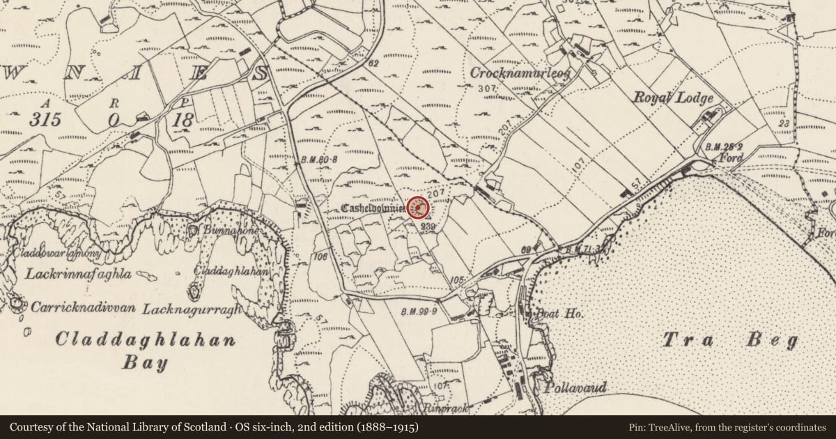 Ordnance Survey six-inch map, 2nd edition (1888–1915) covering the location of Ringfort - cashel, Na Dúnaibh, County Donegal, with a pin at the register's coordinates