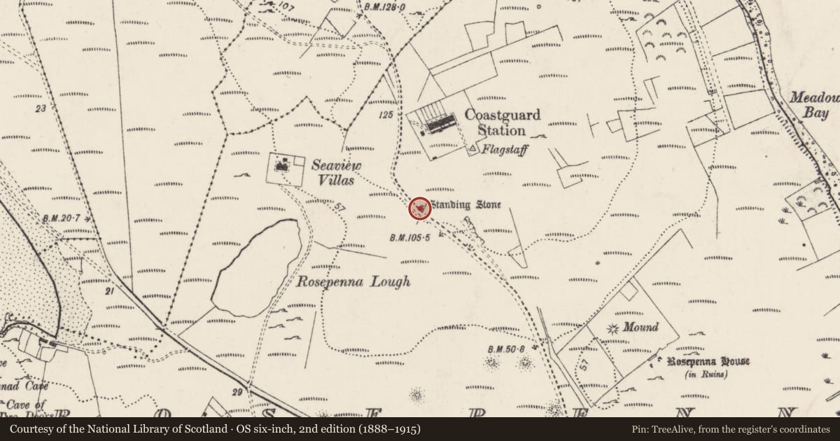 Ordnance Survey six-inch map, 2nd edition (1888–1915) covering the location of Standing stone, MacHaire Loiscthe, County Donegal, with a pin at the register's coordinates