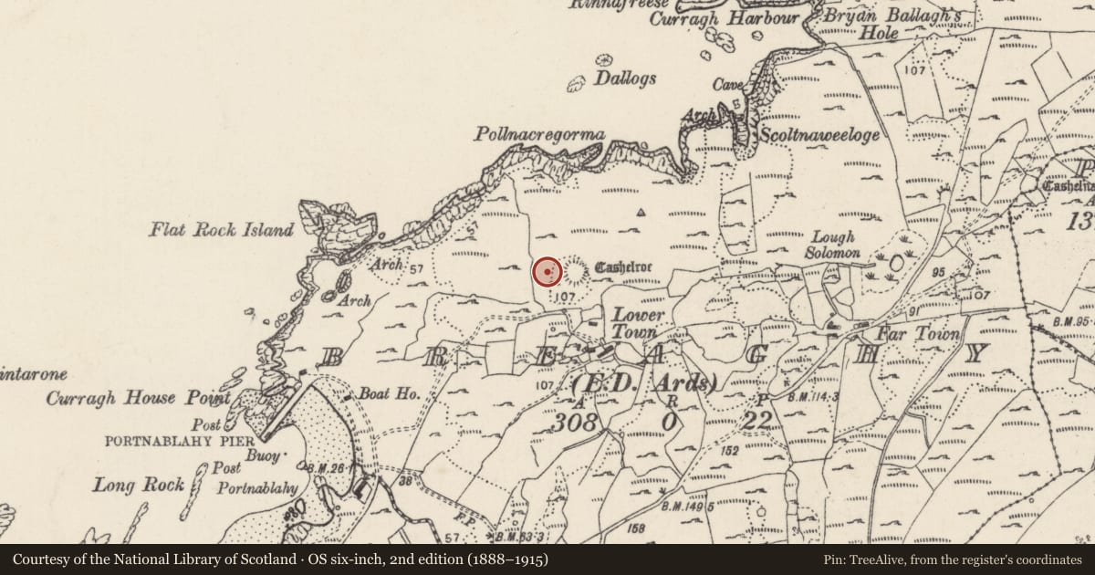 Ordnance Survey six-inch map, 2nd edition (1888–1915) covering the location of Enclosure, Breaghy, County Donegal, with a pin at the register's coordinates
