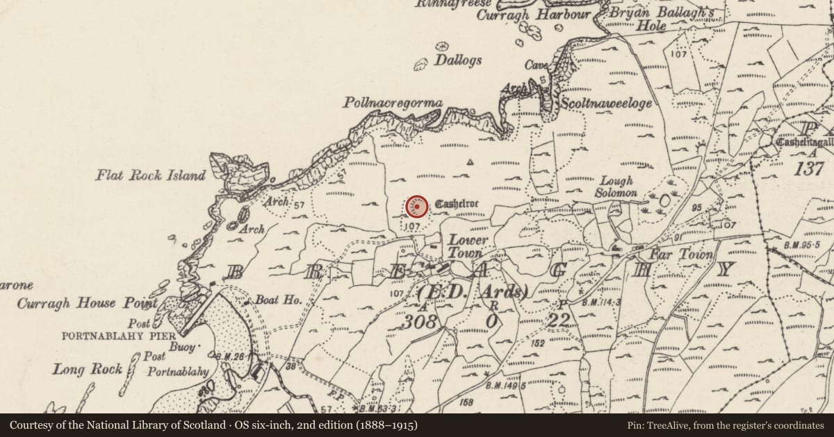 Ordnance Survey six-inch map, 2nd edition (1888–1915) covering the location of Ringfort - cashel, Breaghy, County Donegal, with a pin at the register's coordinates