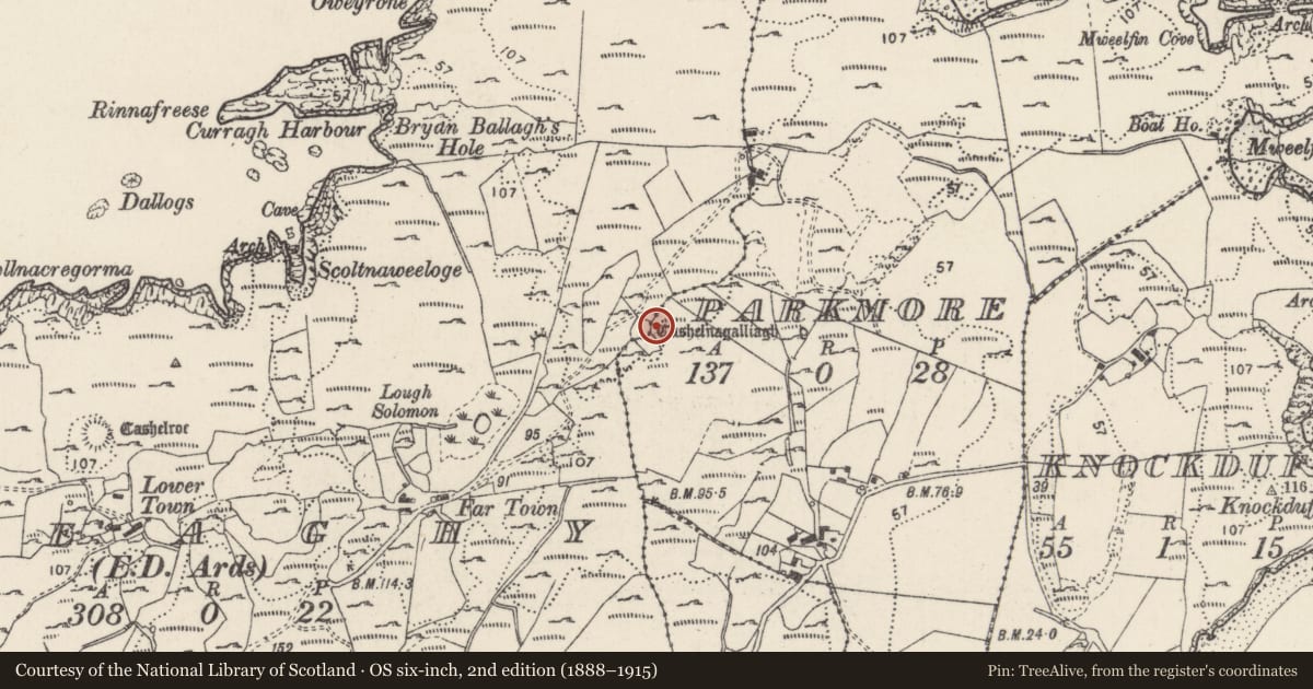 Ordnance Survey six-inch map, 2nd edition (1888–1915) covering the location of Ringfort - cashel, Breaghy, Parkmore, County Donegal, with a pin at the register's coordinates